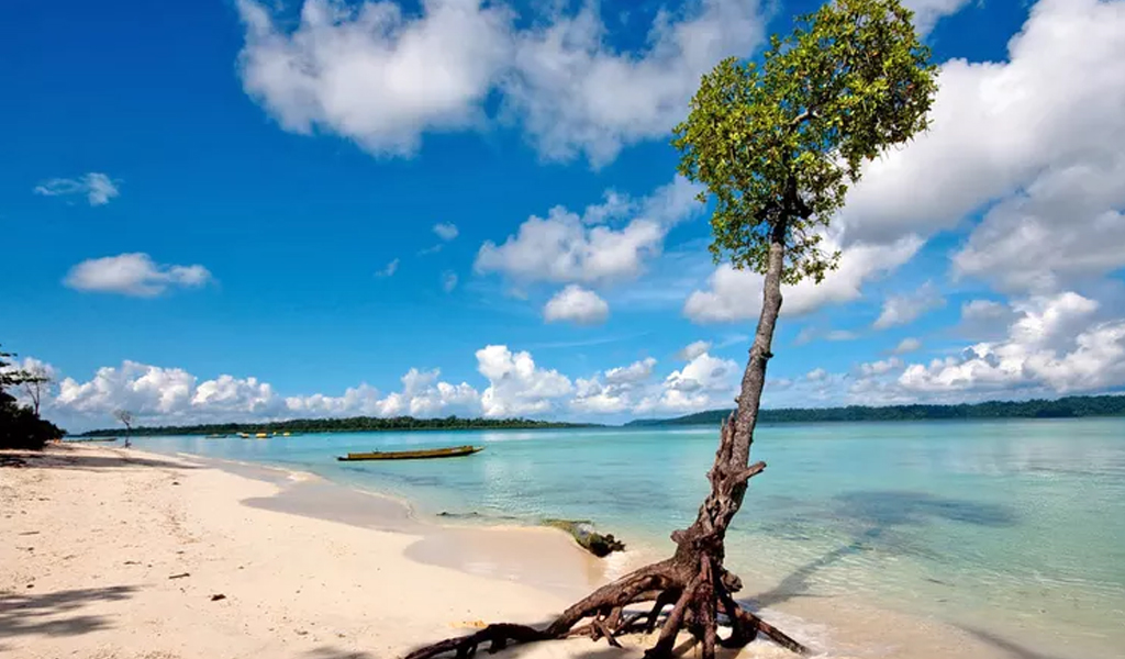 Andaman and Nicobar Island