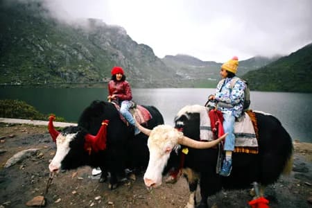 Sikkim
