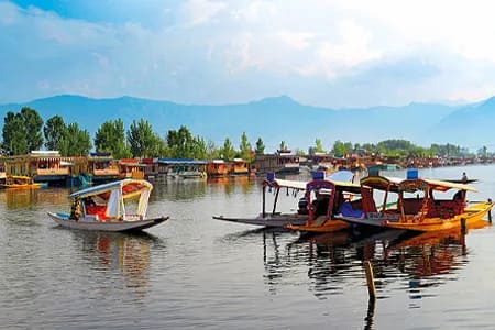 Jammu and Kashmir