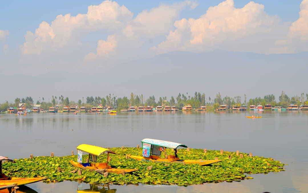 Jammu and Kashmir