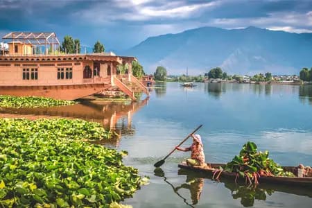 Jammu and Kashmir