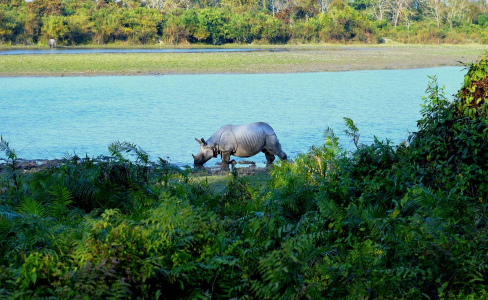Arunachal Pradesh