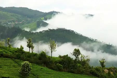 Kerala