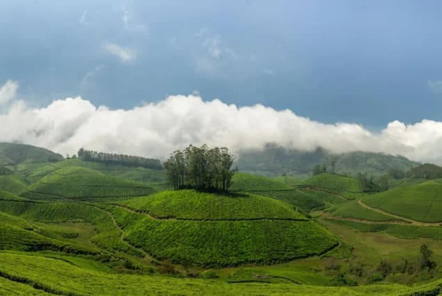 Kerala