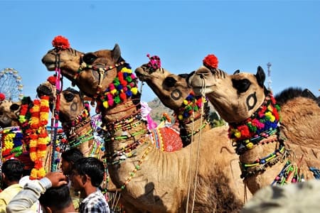 Rajasthan